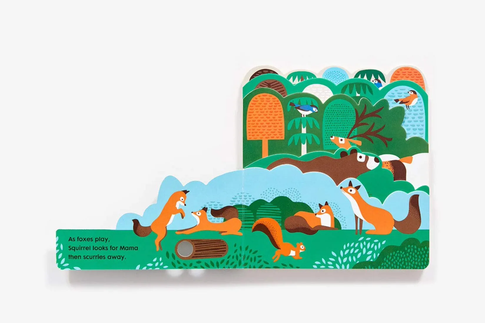 Into The Forest - Board Book