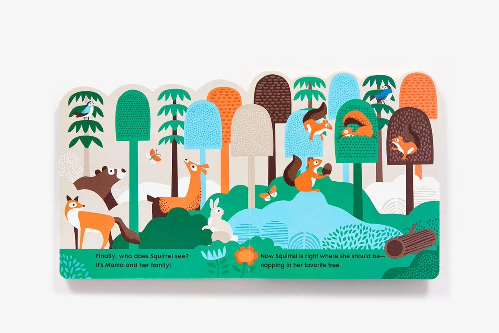 Into The Forest - Board Book