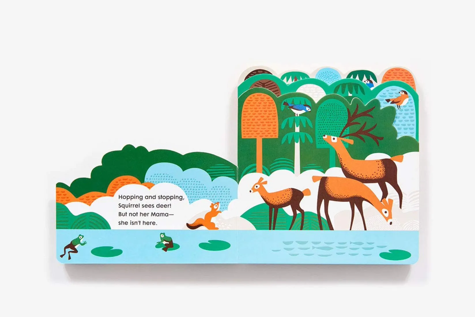 Into The Forest - Board Book