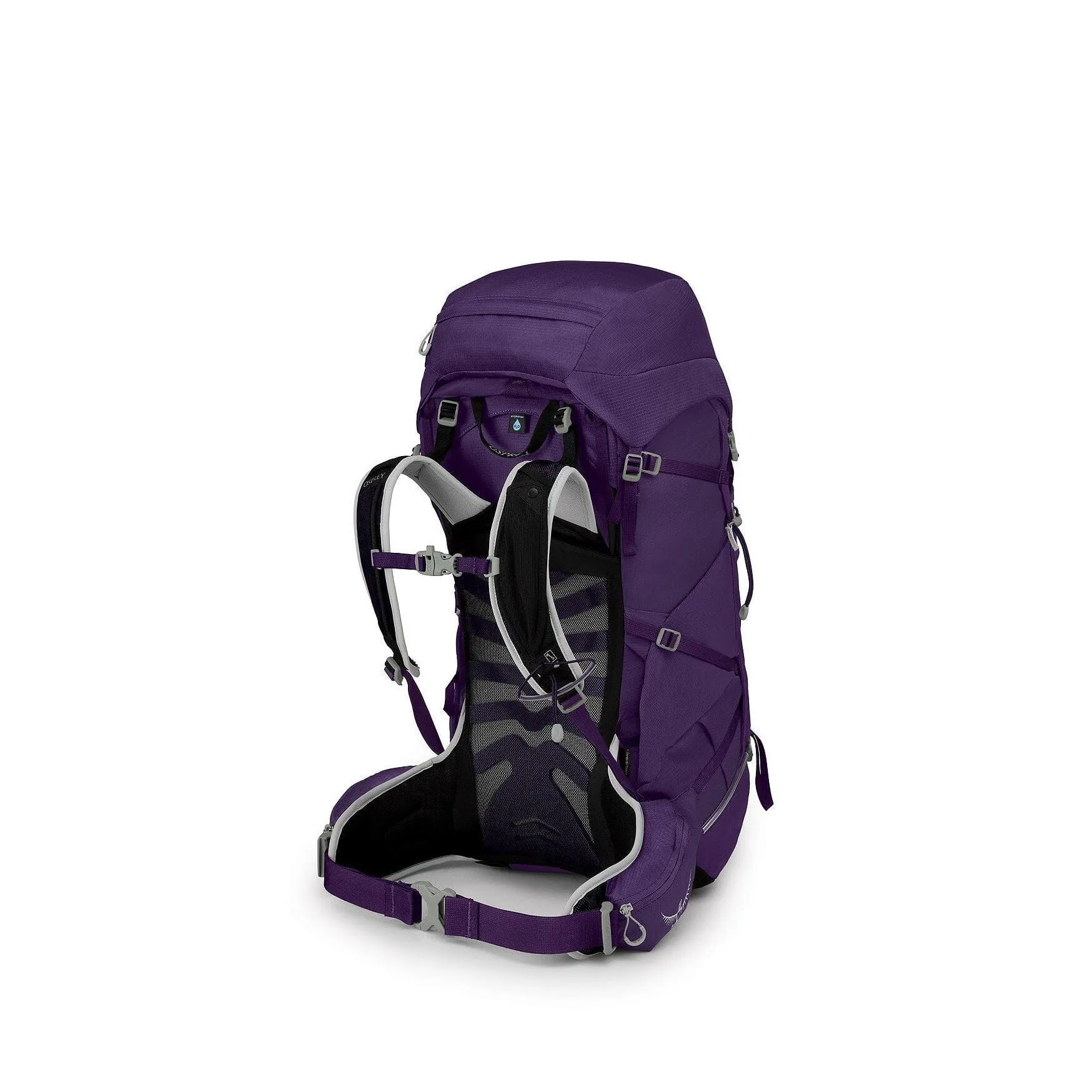 Osprey Tempest 40 Women's Day Hiking Backpack