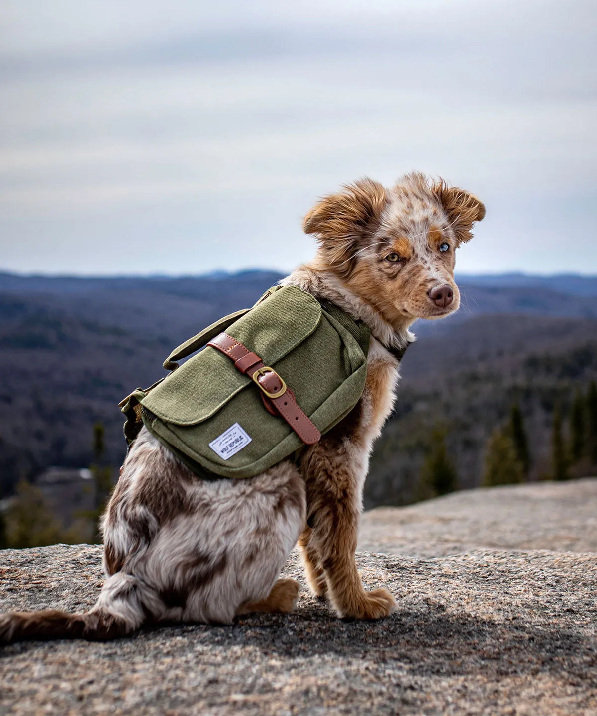 Ranger Pack - Hunter Green