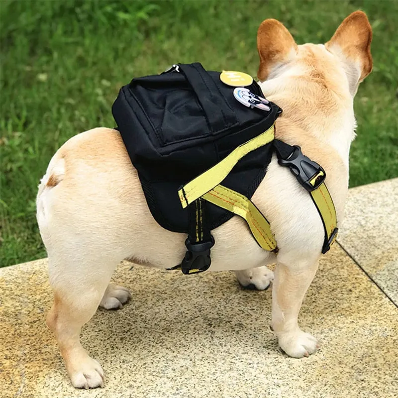 Self Backpack for French Bulldog WS225